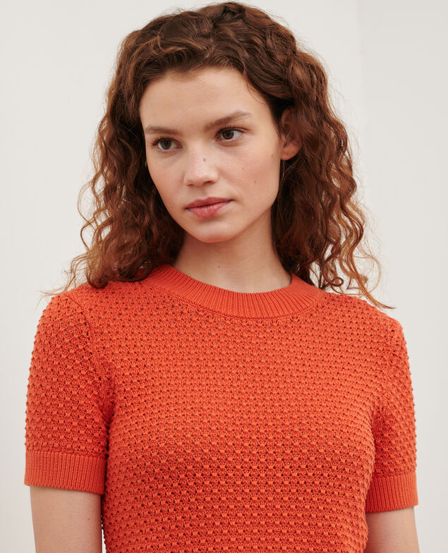 Jersey con manga corta de algodón 0220 apricot orange