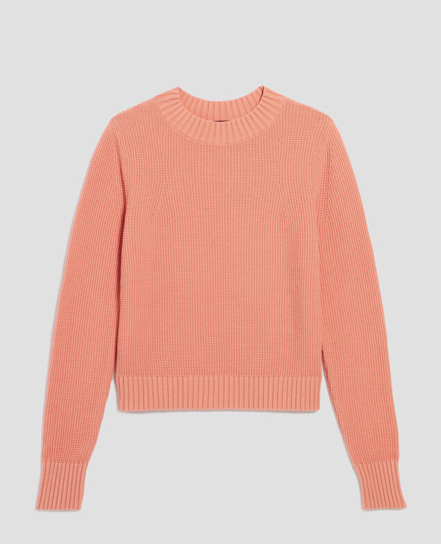Jersey cuello redondo de algodón H111 shell coral