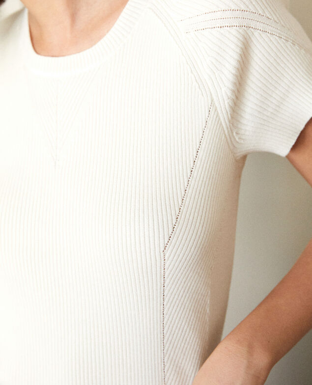 Jersey 100 % Algodón Blanco