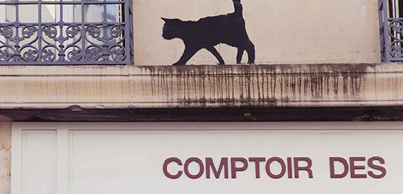 #ComptoirStories