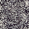 Blusa fluida de manga larga H690 micro fl navy 4sbl117v02