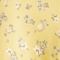 LILLYBELL LEMON