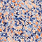 116 PRINT BLUE