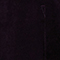 Chaqueta corta de terciopelo de algodón Purple Palipine