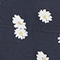 0694 DAISY