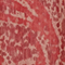 Blusa de manga larga de paño A182 print ikat wine 3wbl149p10