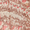 Blusa de manga larga de paño A322 print ikat beige 3wbl149p10