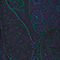 Blusa estampada fluida A684 paisley navy 3wbl066v02